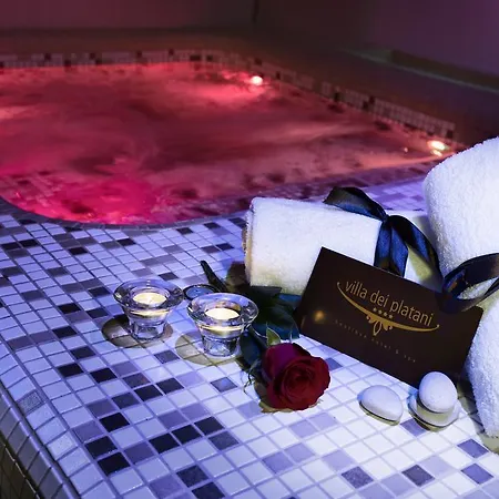 Unahotels Dei Platani