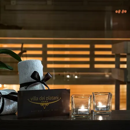 Hotel Unahotels Dei Platani 4*